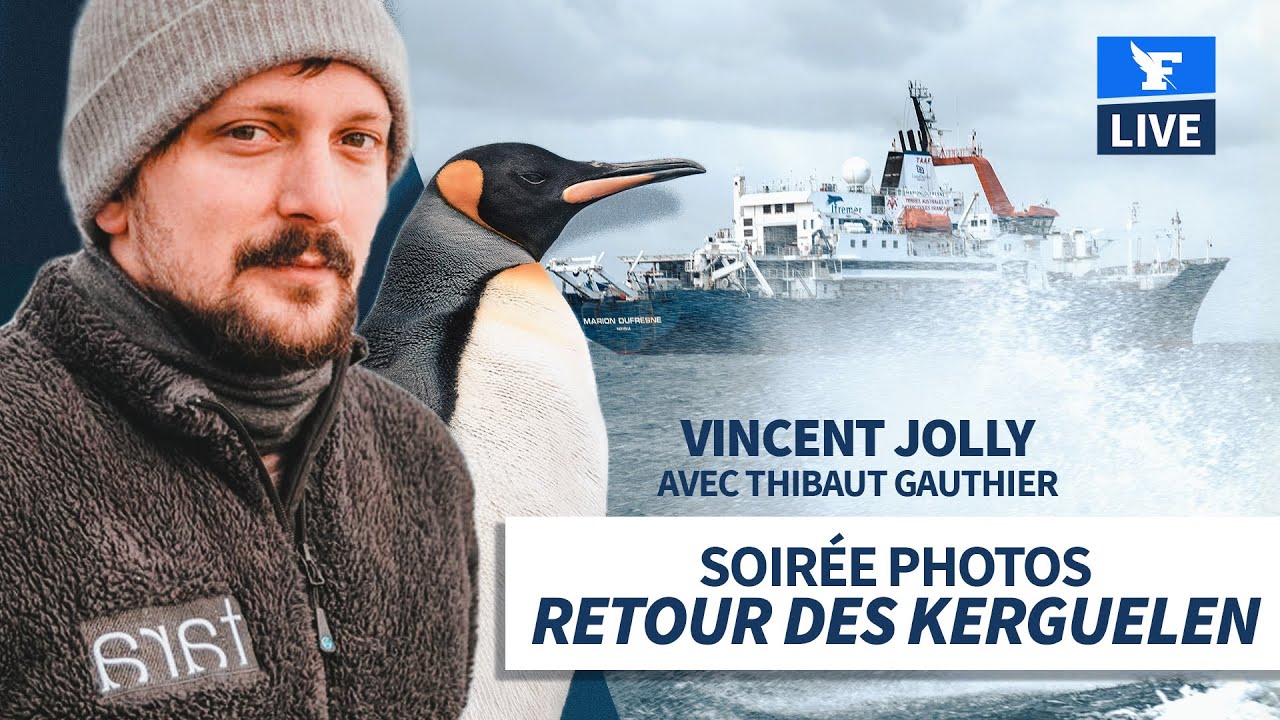 🔴Soirée photos: Kerguelen, reportage sur l'une des îles les plus isolées du monde