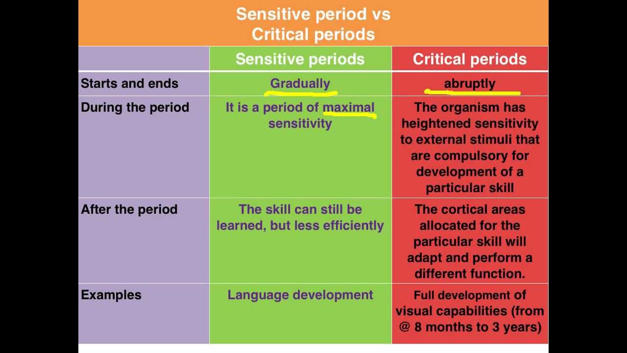 Sensitive vs Critical periods of learning - VCE Psychology