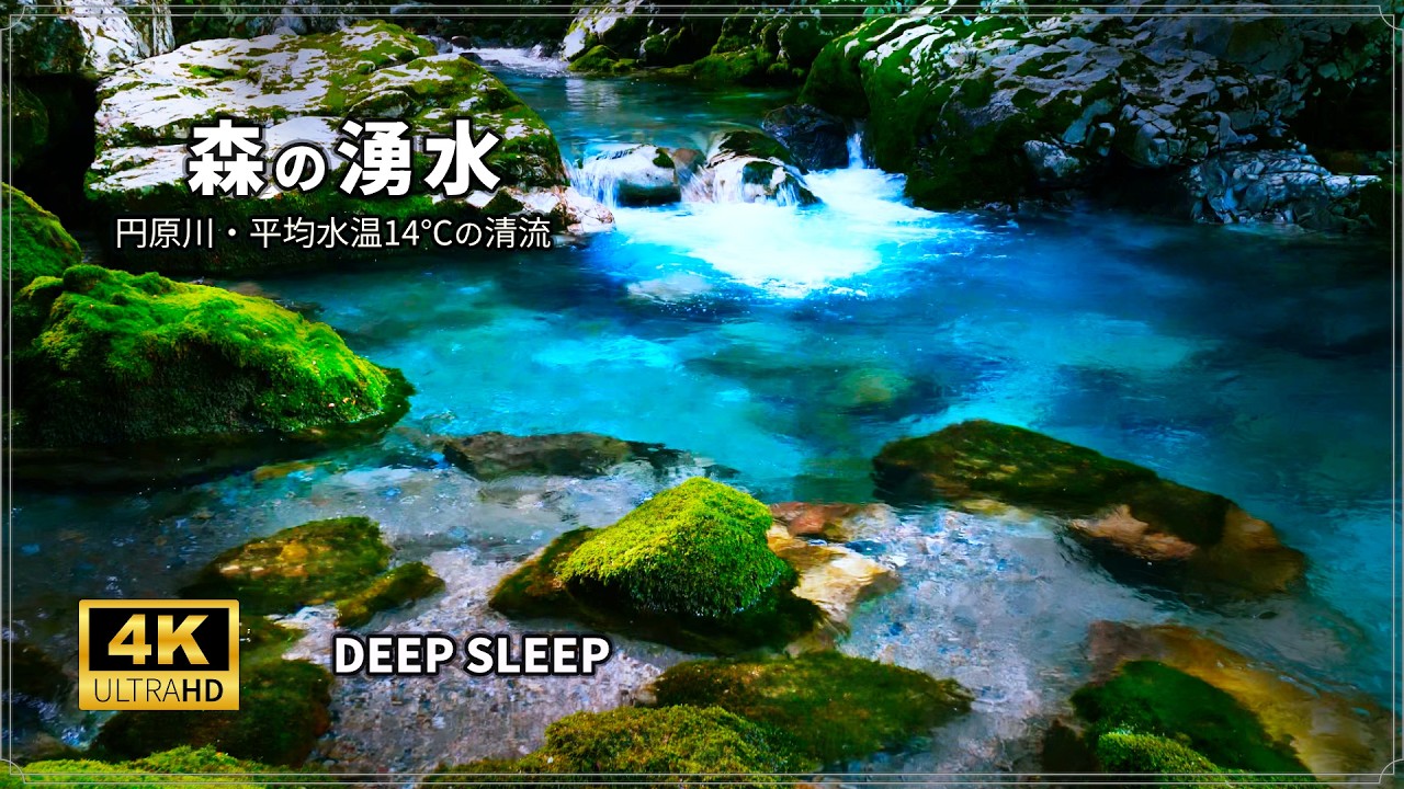 【熟睡用8時間】森の湧水と川のせせらぎ｜円原川 自然音ASMR