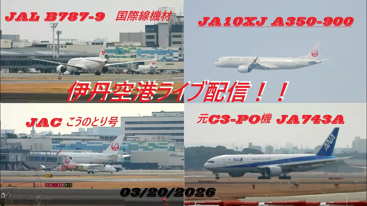 天草エアライン・みぞか号生中継！伊丹空港!!  Plane Spotting Itami Airport 03/20/2026