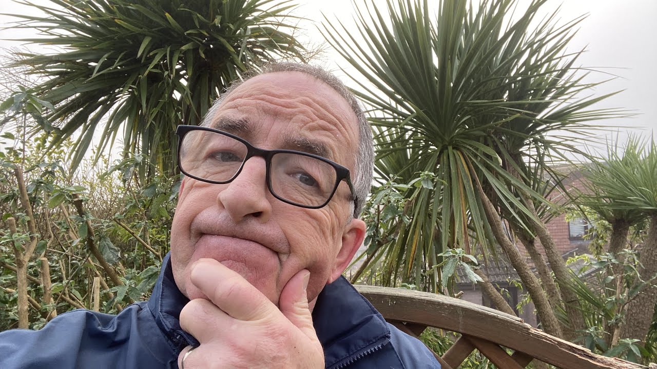 Are Cordyline Palms becoming native to the UK and providing environmental benefits #native #evidence