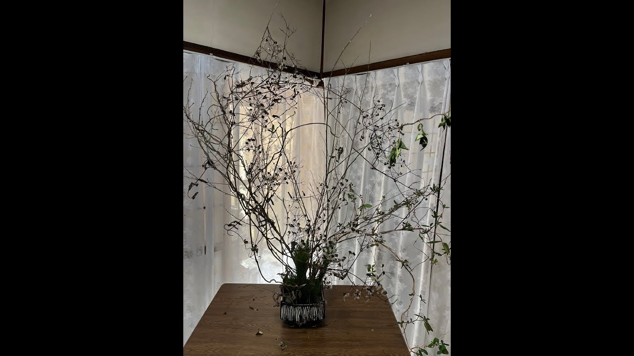 投稿880　０蘭Nature art