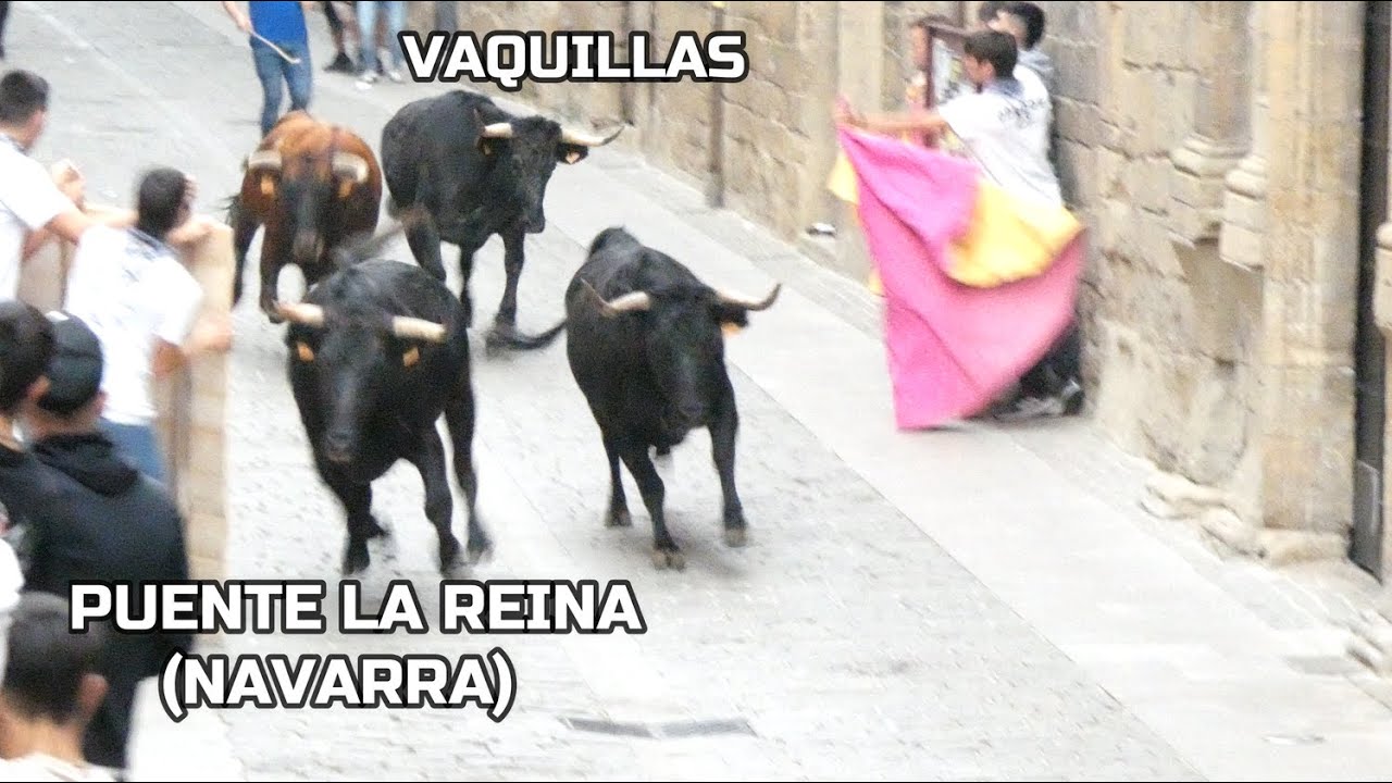 Vaquillas Puente La Reina #encierrosnavarra2025