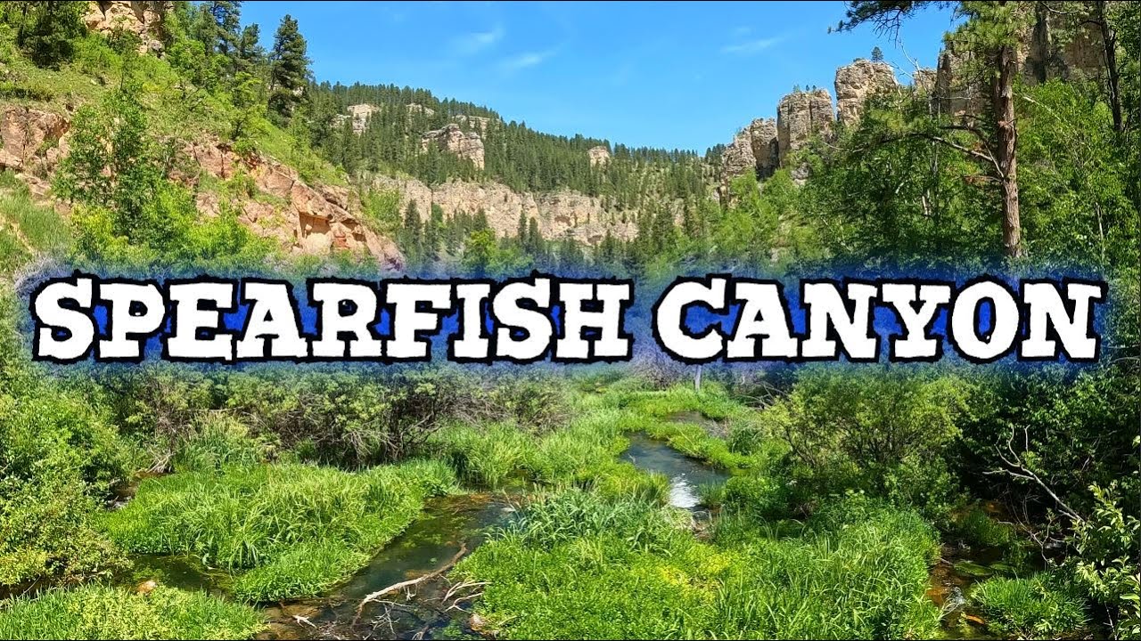 Spearfish Canyon Full Day Adventure - Black Hills | South Dakota