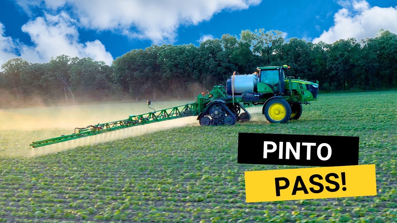 Spraying Pinto Beans at the Perfect Stage!!