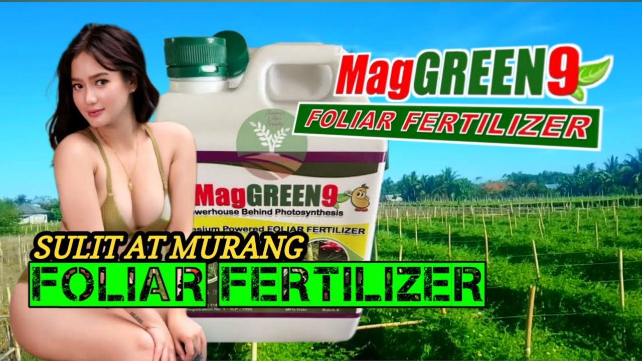 MagGREEN9 : The Cheapest Foliar Fertilizer #foliarfertilizer #insecticides #buhayprobinsya #farming