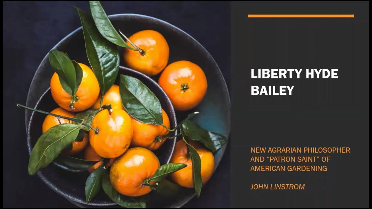 Liberty Hyde Bailey: New Agrarian Philosopher and Patron Saint of American Gardening
