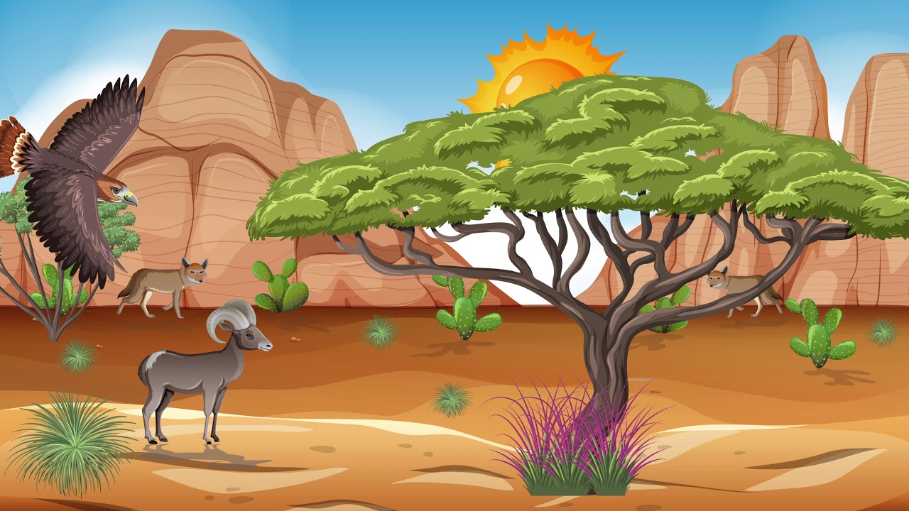 Desert in Africa with Animals