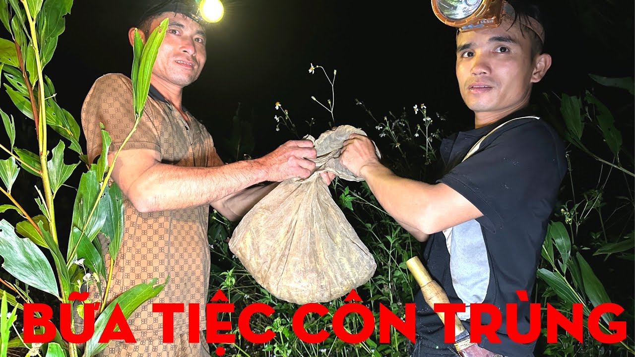 BẮT HÀNG TRĂM CON CÔN TRÙNG LÀM MỒI NHẬU,BỮA TIỆC CÔN TRÙNG-TỰ THỢ RỪNG