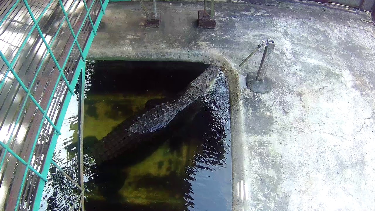 Palawan Wildlife Rescue and Conservation Center