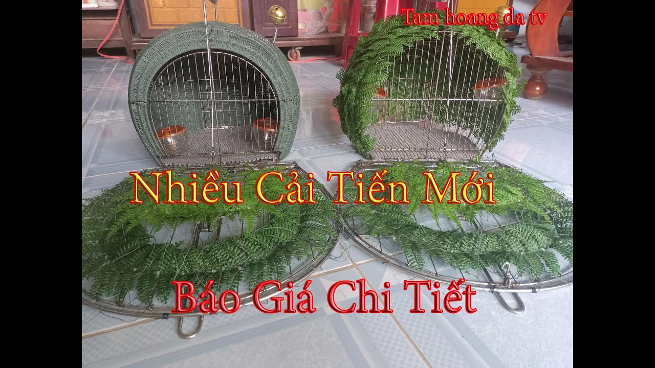 Lụp Bẩy Quốc Nhiều Cải Tiến Mới Và Báo Giá Chi Tiết / Tam Hoang Da TV