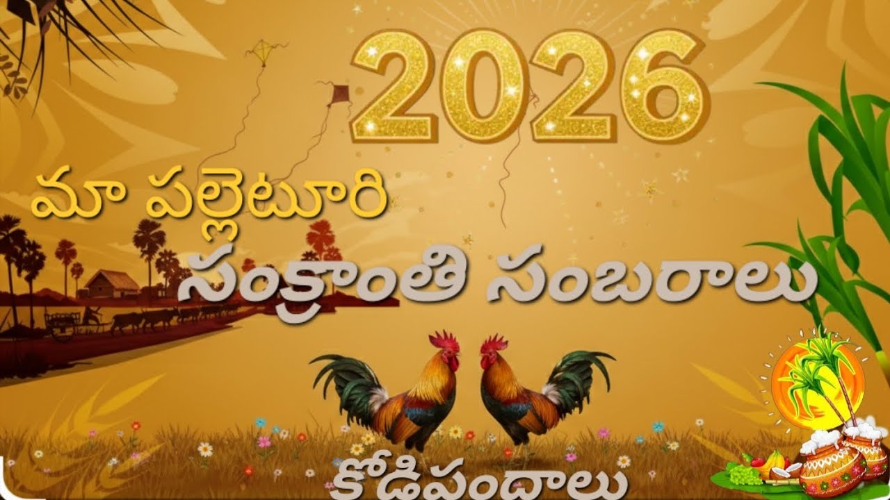 మా పల్లెటూరి సంక్రాంతి సంబరాలు 🐓 | కోడిపందాలు | గ్రామీణ సంస్కృతి #konasema 🌴 #godavari 