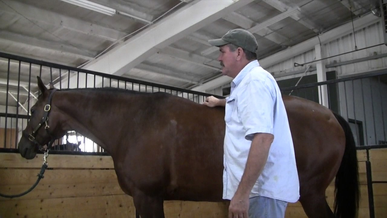Masterson Minute Thoracic Wiggle