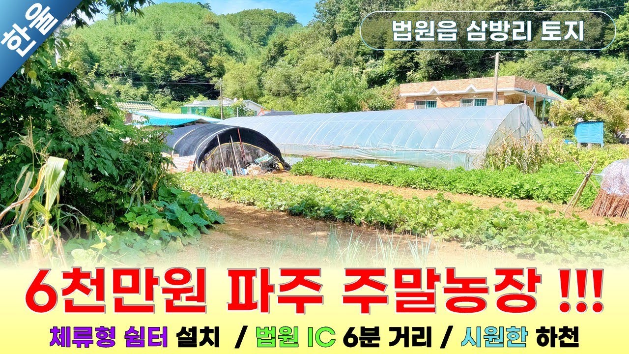 드디어 기회가 왔습니다! 파주 주말농장 단돈 6천만원에 법원IC 6분 + 하천 옆이라니?!