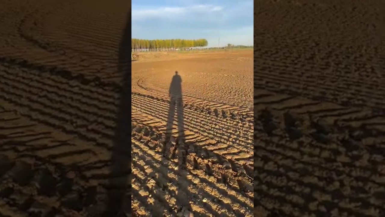 Semina grano 2022 con Case Maxxum 140🌾🌾