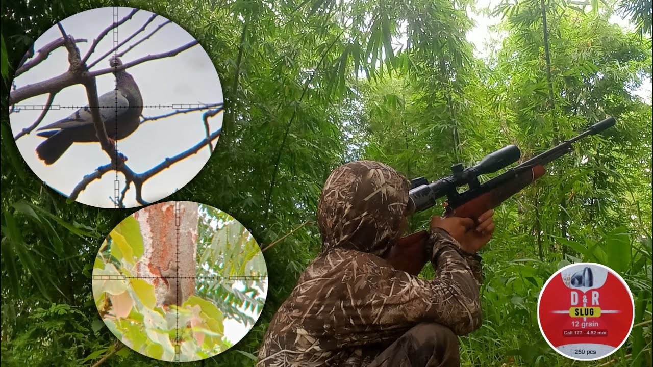 DISURUH PETANI MENGURANGI HAMA JAGUNG 
