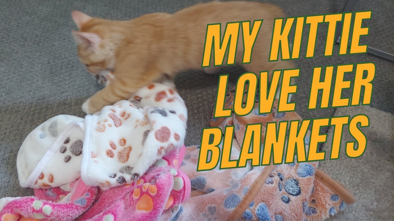 MIWOPET Pet Blanket Review Soft & Warm Fleece Flannel #cat #cats #pets