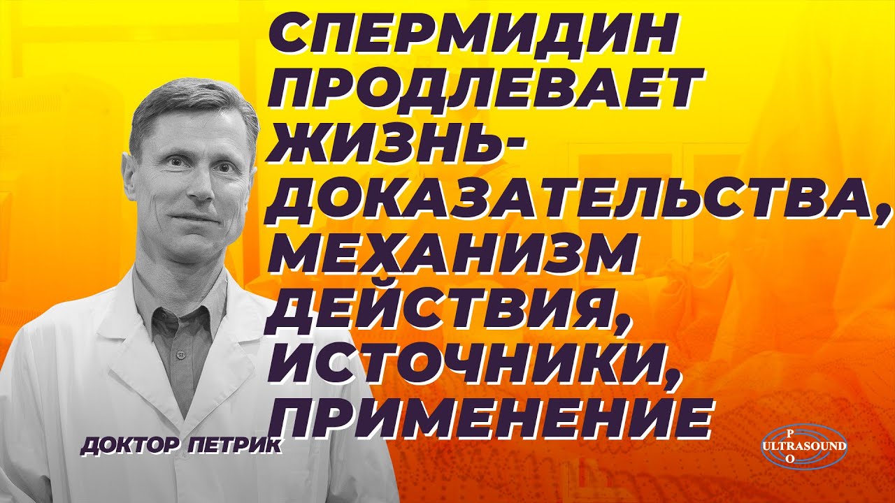 Спермидин продлевает жизнь. Доказательства, механизм действия, источники, применение.