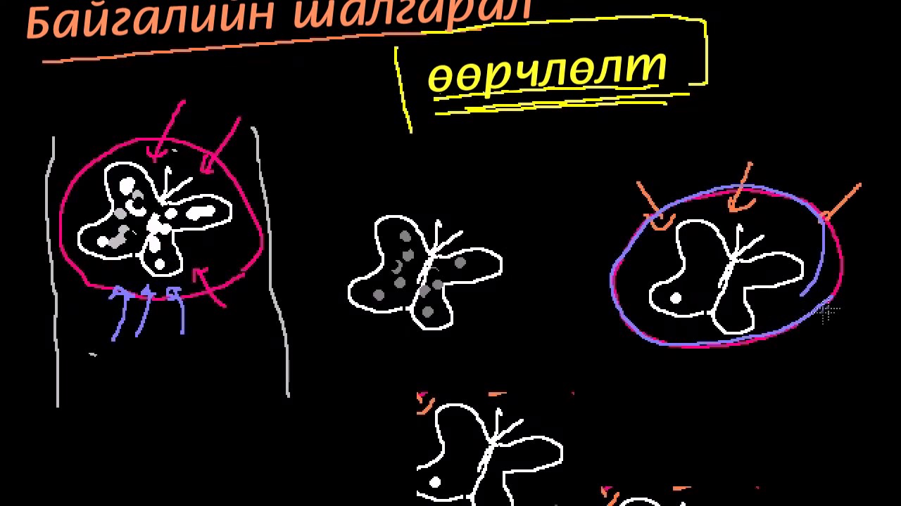 Хувьслын онол ба ба байгалийн шалгарал: Удиртгал