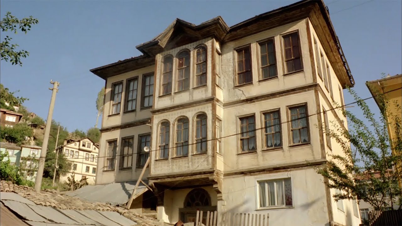 Ağacın Türküsü (1987)