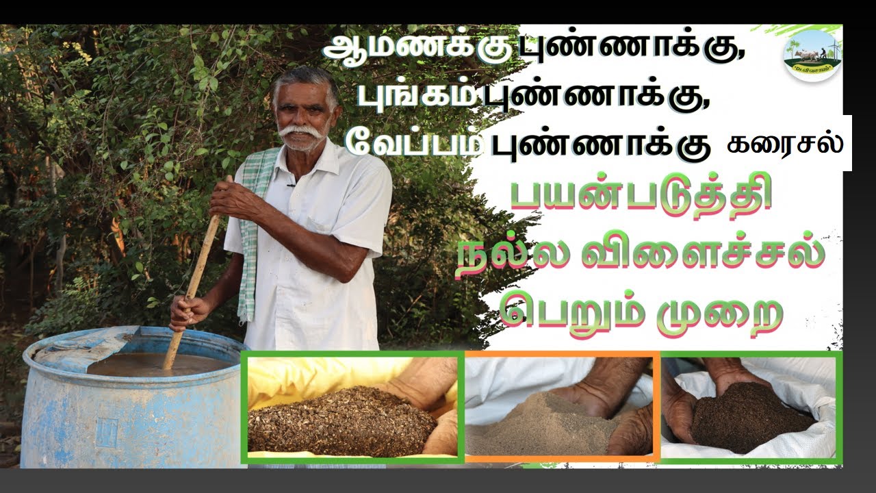 🟢ஆமணக்கு, புங்கம், வேப்பம் புண்ணாக்கு கரைசல் பயன்படுத்தி நல்ல விளைச்சல் பெறும் முறை | Dr.விவசாயம்