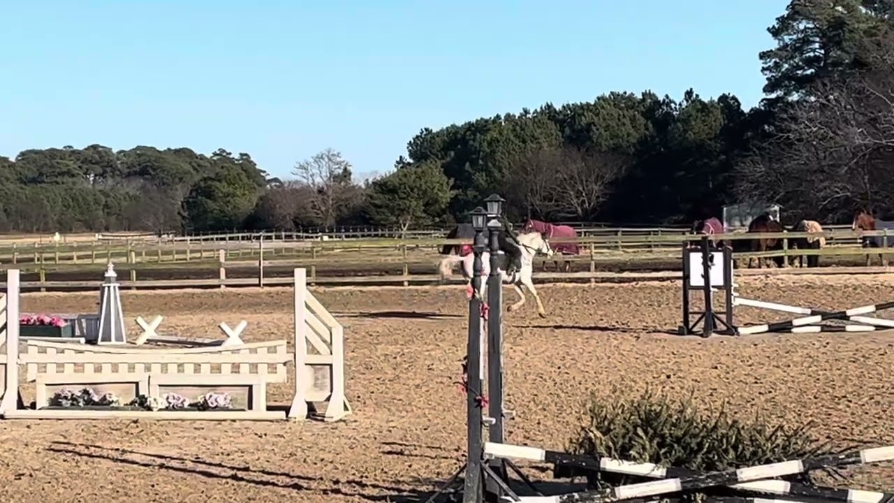 Cookie O/F with Junior 1/19/26