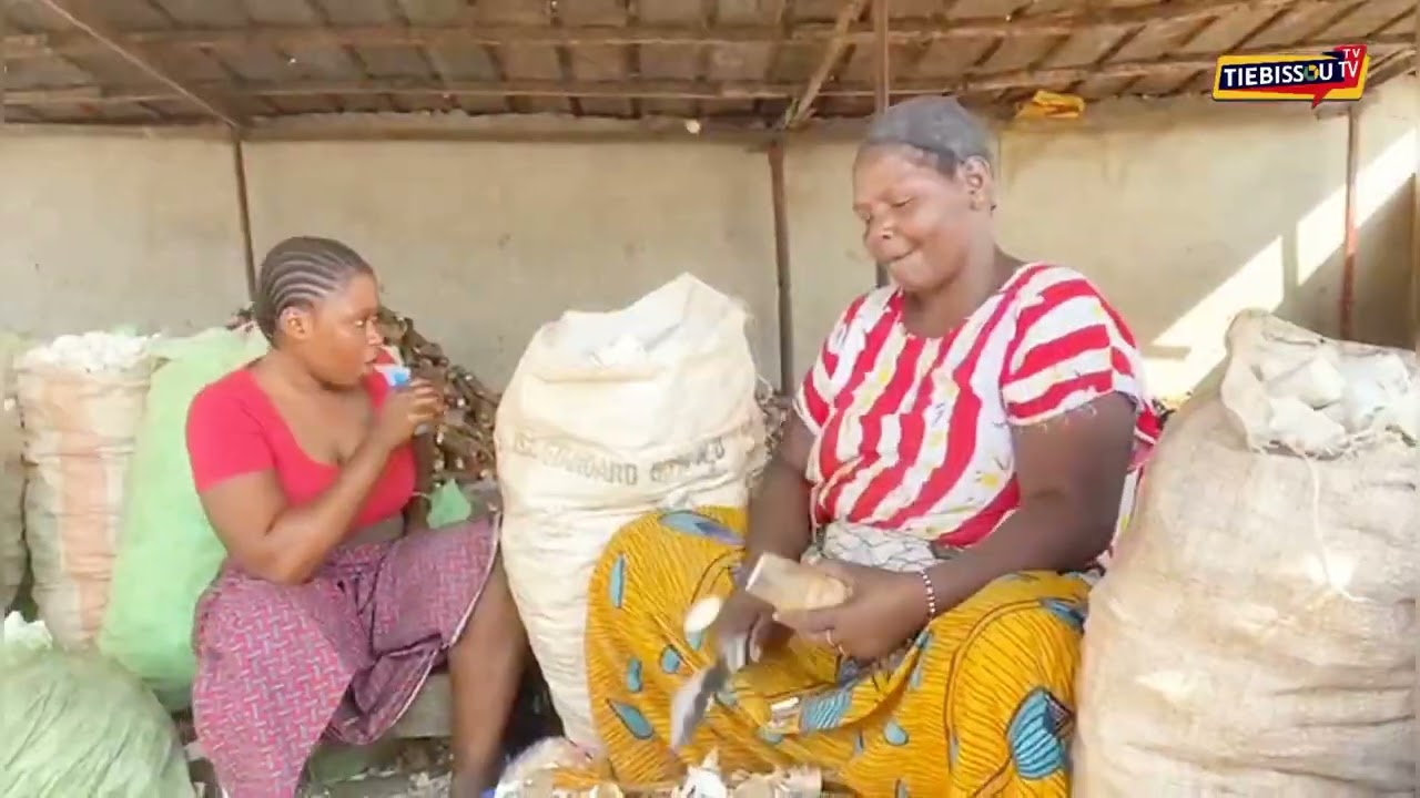 la d&eacute;couverte de tiebissou ma belle ville ❤️❤️❤️❤️❤️❤️❤️❤️❤️❤️