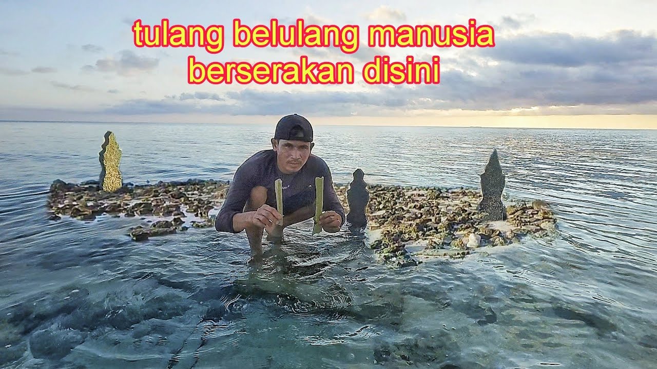 camping di pulau manimbora island kuburan dalam air 48 jam #1