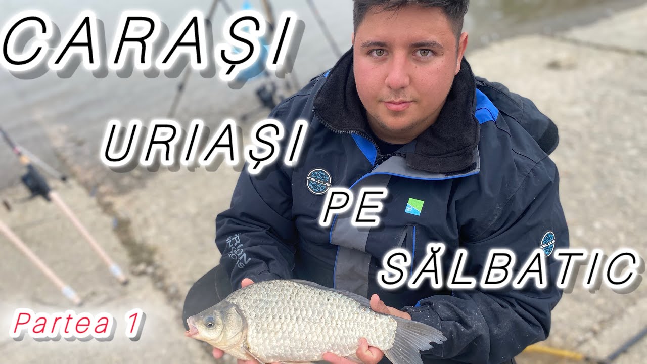 😱CARAȘI URIAȘI PE SĂLBATIC😱 Pescuit la Method pe Dunăre !( partea 1 )