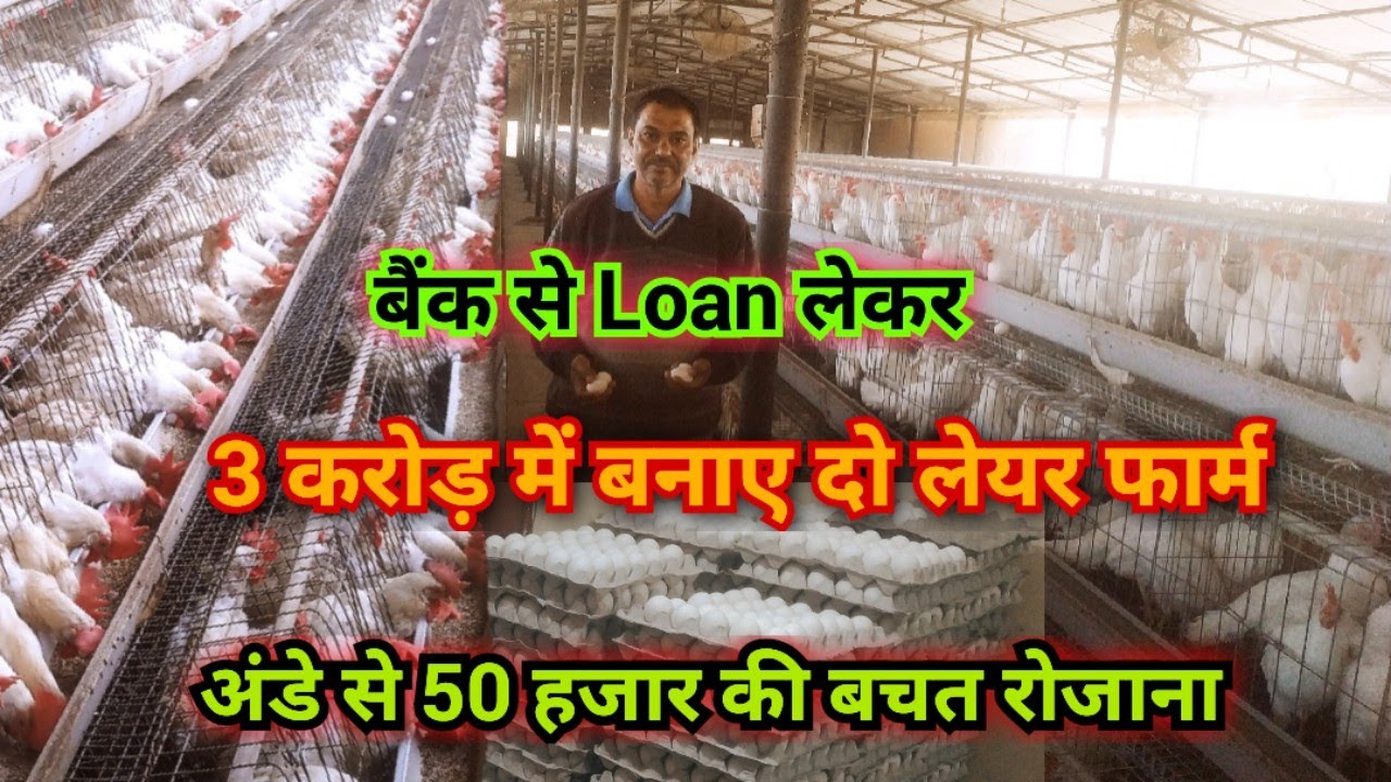 Layer Poultry Farm पर Loan कैसे मिलता है // 3 करोड़ में तैयार किए दो फार्म, रोजाना की बचत 50 हजार