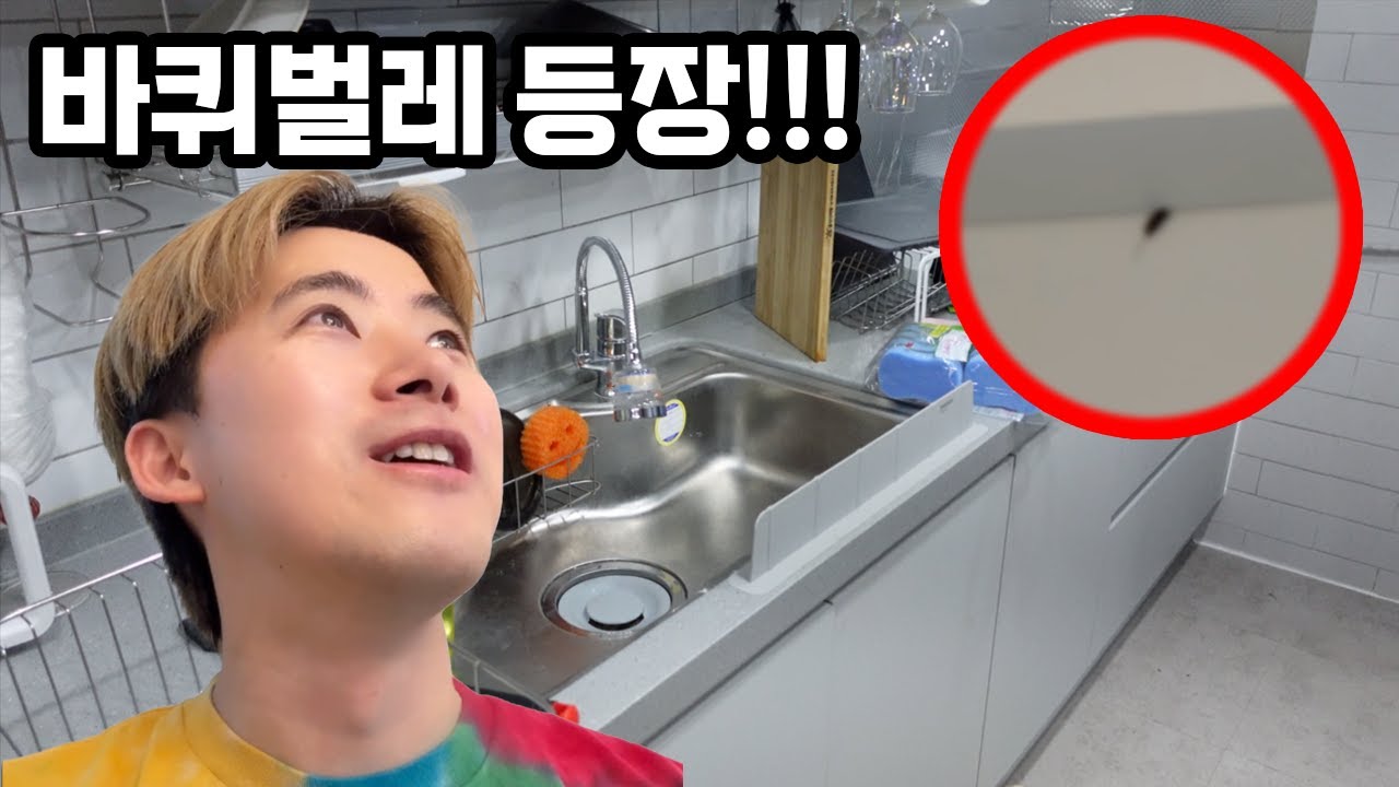 바퀴벌레의 계절이 와버렸다......