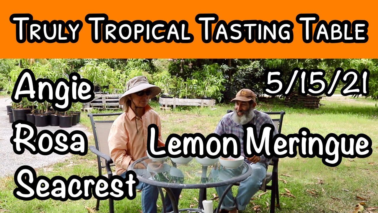 Truly Tropical Tasting Table #2 (May 15, 2021)