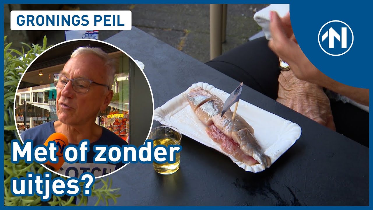 De nieuwe haring is er weer!