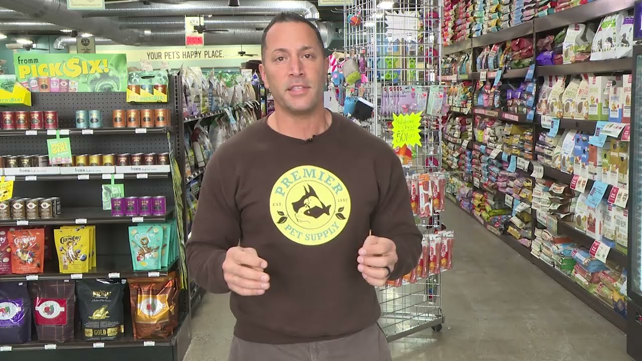 Pet Health Update - Best Diets for Cats and Dogs (Weight and Allergies) - episode 7