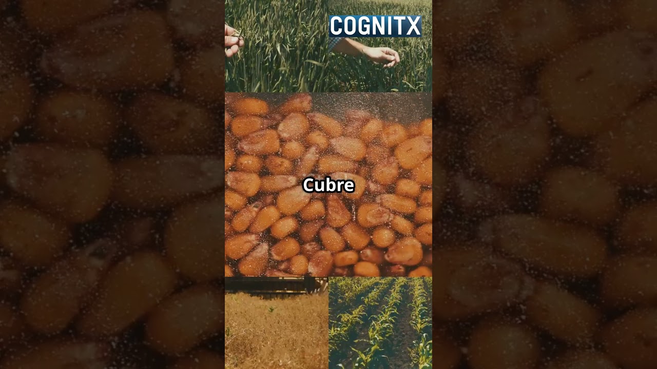 Agroexportaciones VS Agronegocios #cognitx #agricultura #negocios #agronom&iacute;a #agronom&iacute;a #carrera