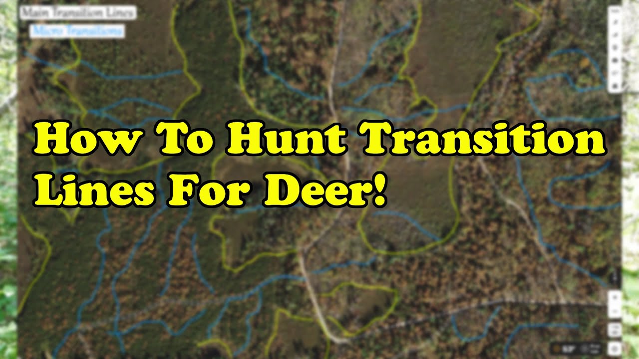 How To Hunt Transition Lines For Deer