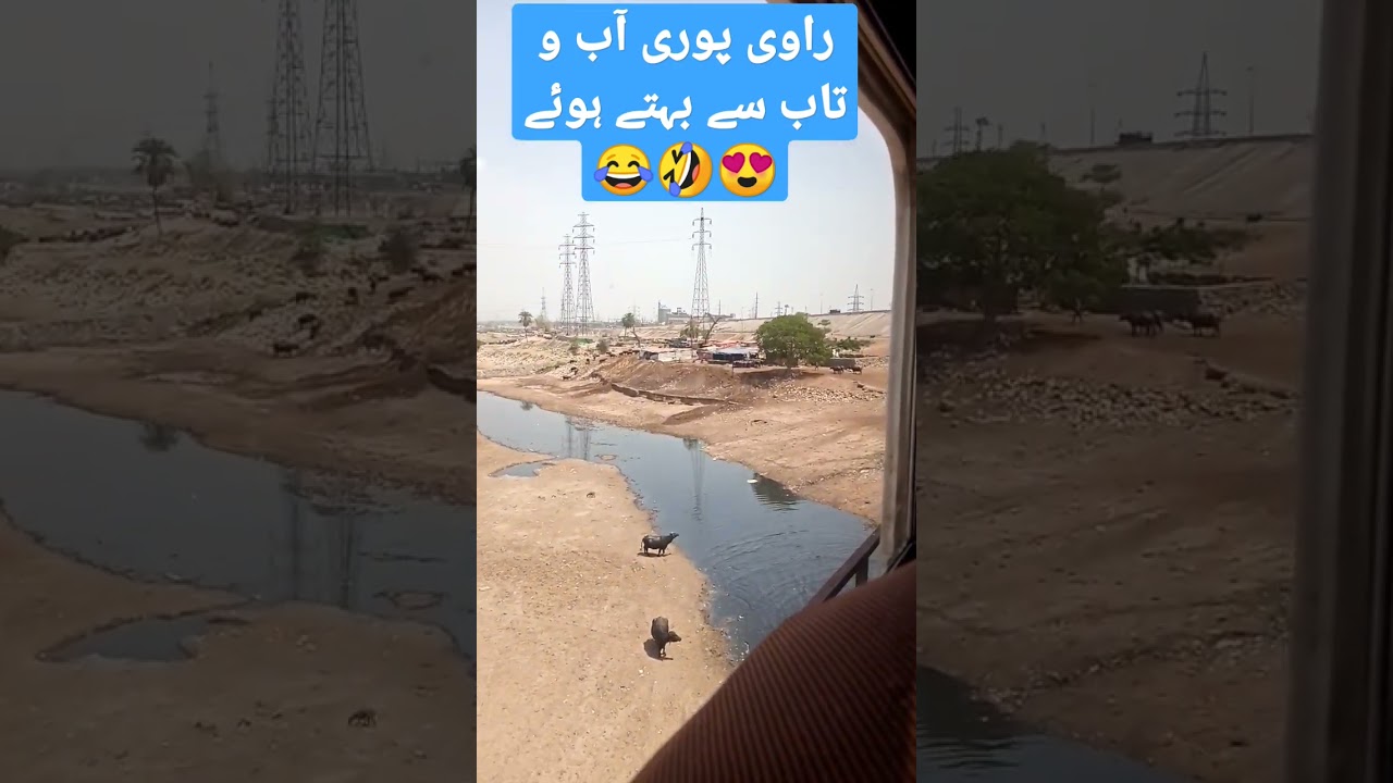 Ravi #lahore #beuty #ravi #dariya #river #shorts #lahori #nature