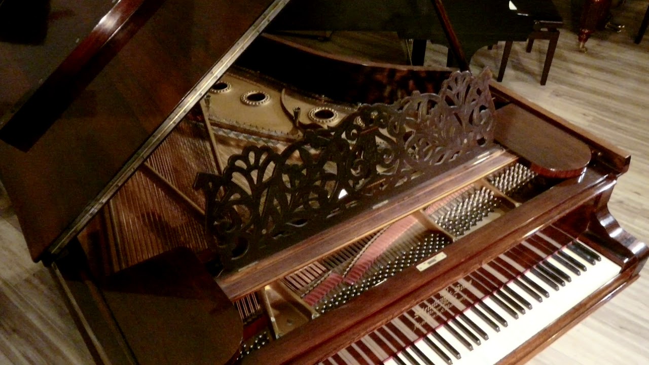 Steinway L розовое дерево (1889) рояль для продажи