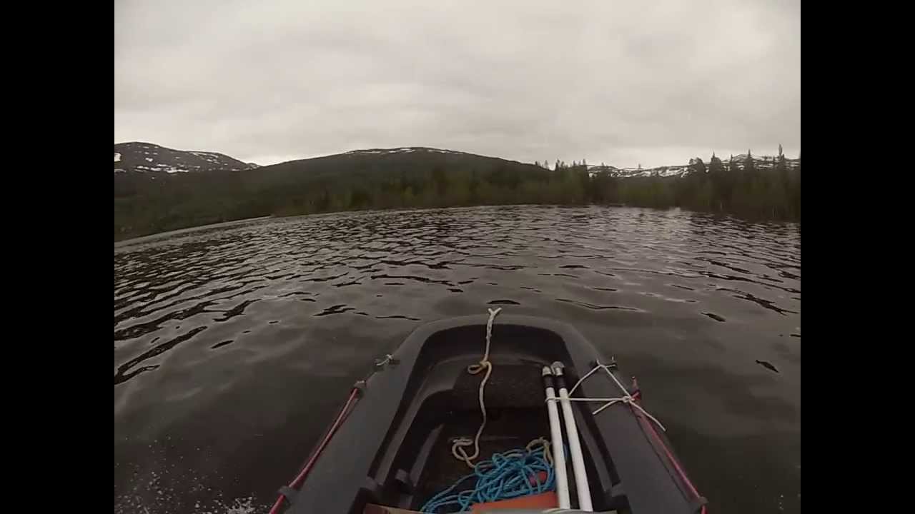 steady 260 gopro