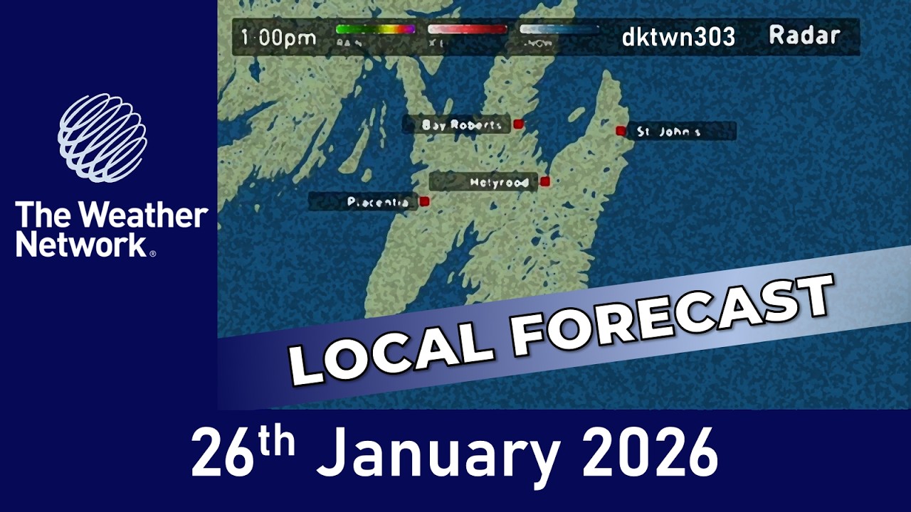 The Weather Network Local Forecast - 26 January 2026