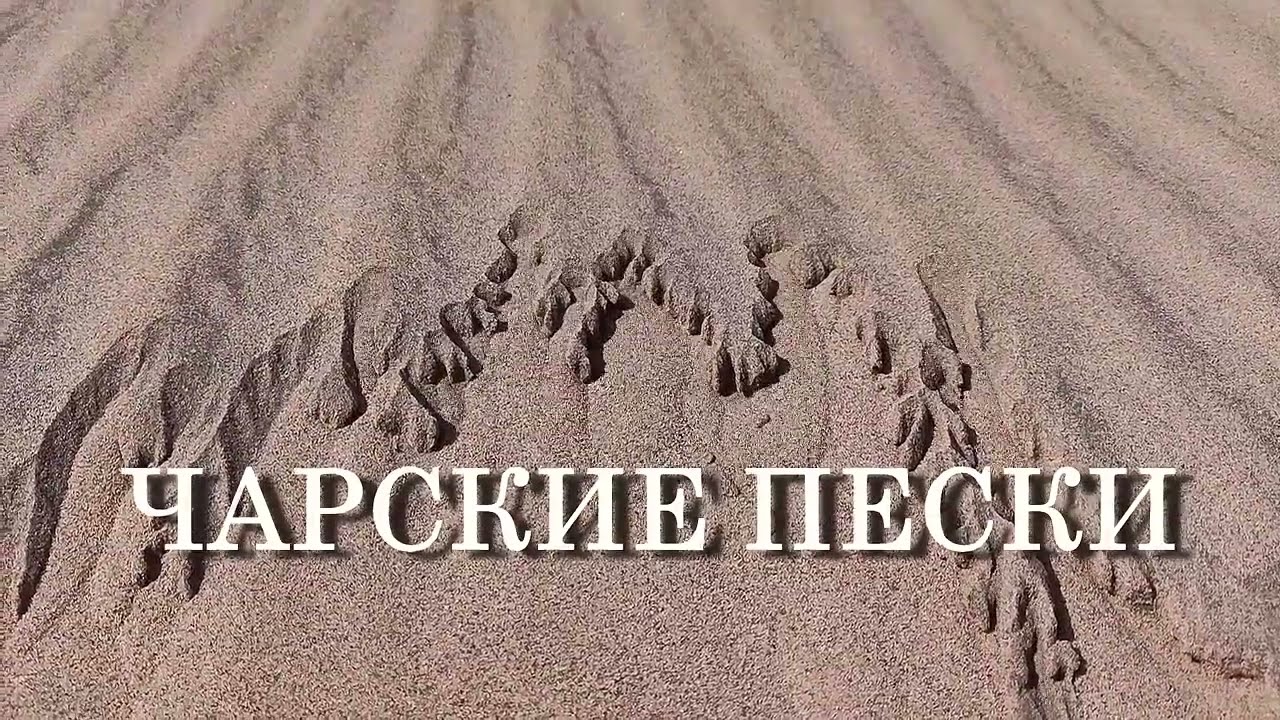 Чарские пески. Природа, Забайкальский край / Charsky sands. Nature, Trans-Baikal Territory