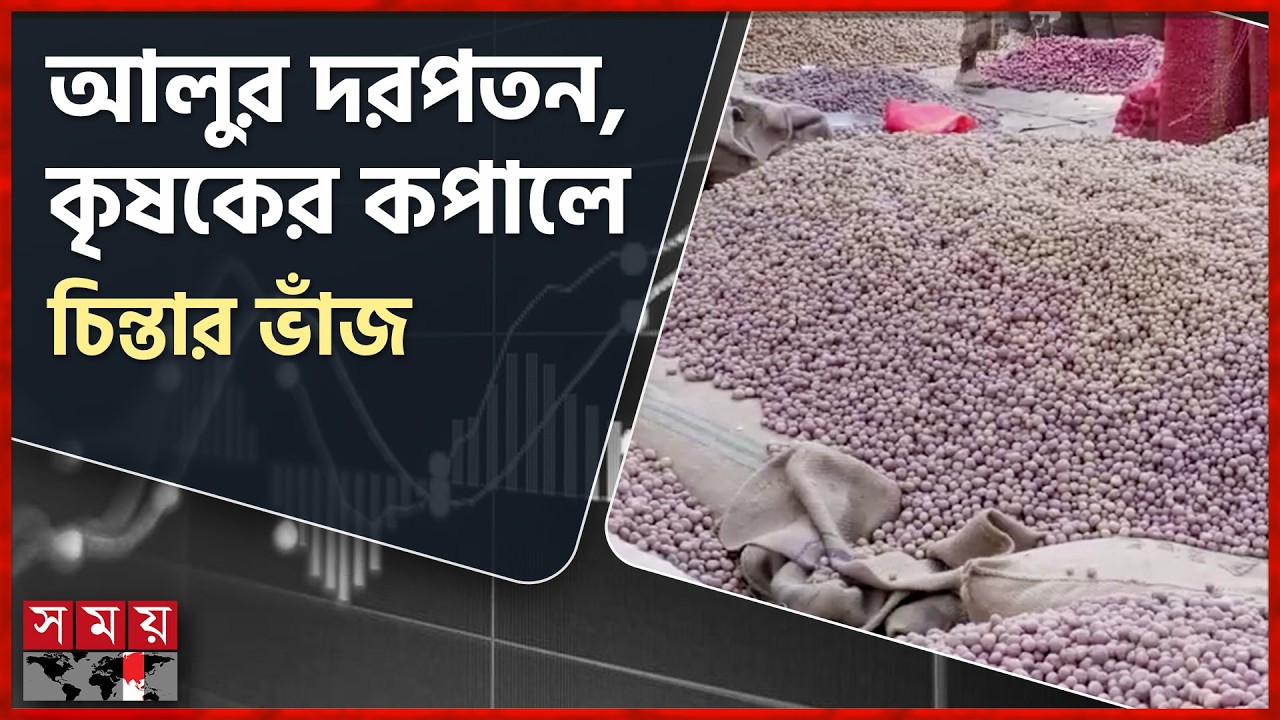 নওগাঁয় আলু বিক্রি করে উৎপাদন খরচ উঠছে না কৃষকের | Potato Price | Cultivation | Naogaon | Somoy TV