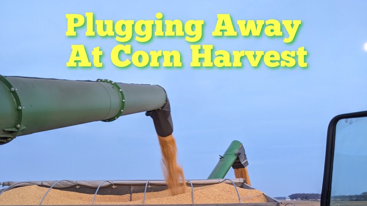 Plugging Away At Corn Harvest | Harvest 2022 Day Thirty