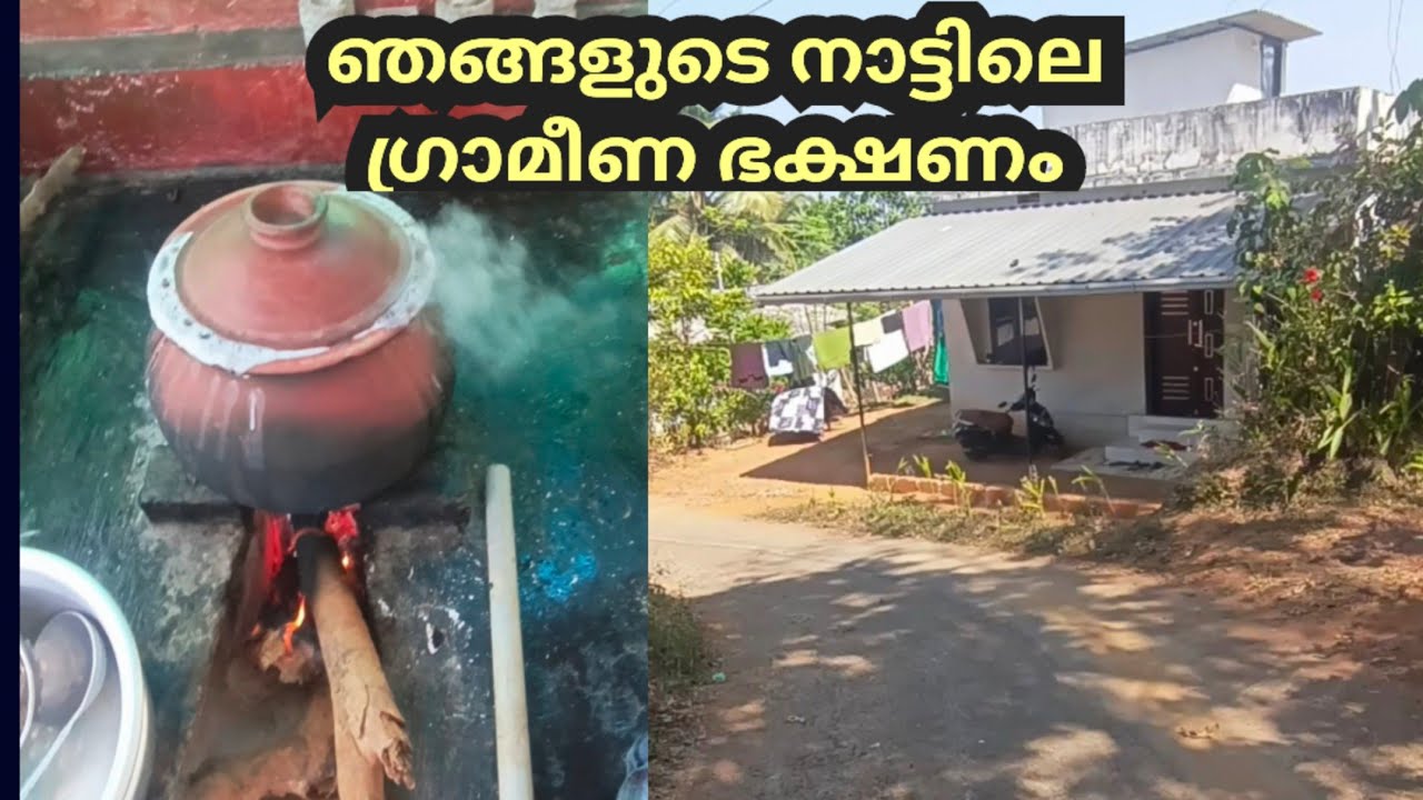 മഞ്ചട്ടിയിലെ ചോർ | മൺചട്ടിയിൽ മീൻകറി | കാച്ചിൽ കൂട്ടാൻ | നാടൻ ഊണ് | Village Cooking Malayalam