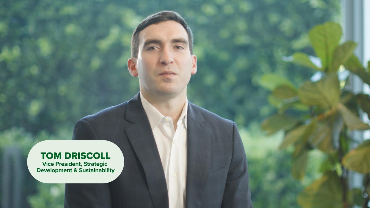 What's the difference between direct & lifecycle emissions?