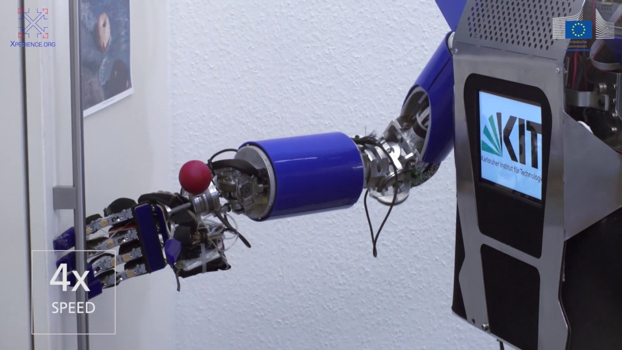 Humanoide Roboter auf dem Vormarsch (Prof. Dr. Tamim Asfour)