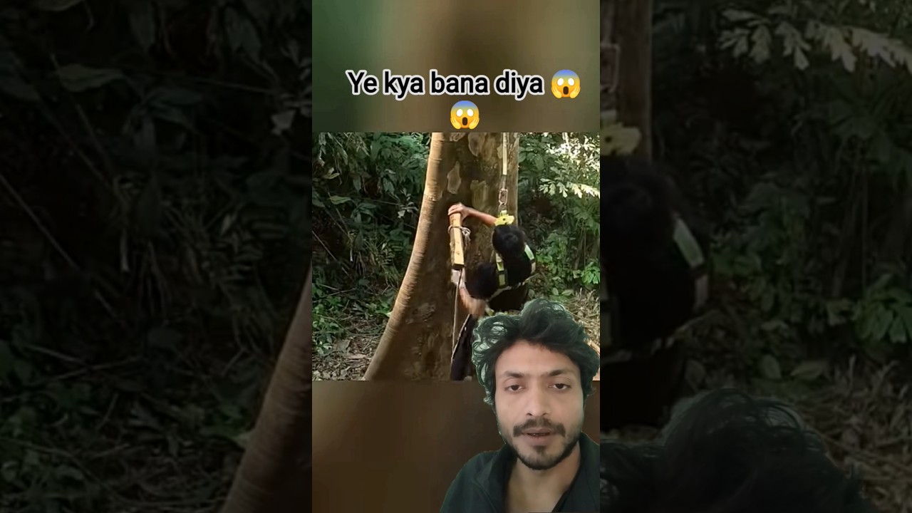 He Built a HOUSE on a TREE 😱 | Survival from Wild Animals 🐯🔥 