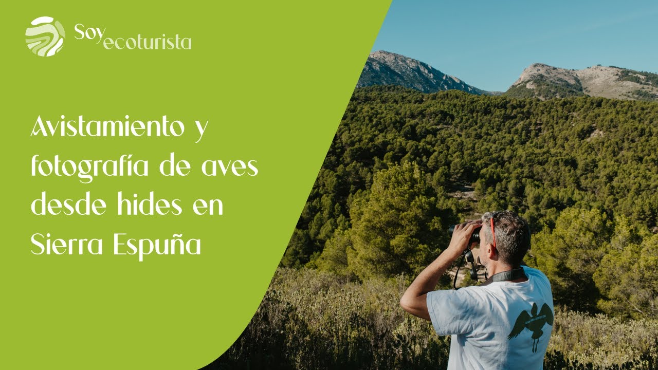 Avistamiento y fotografía de aves desde hides en Sierra Espuña