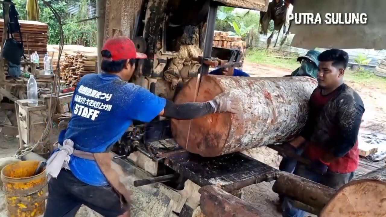 kumpulan video kayu ukuran giant. Full collection a giant and great wood