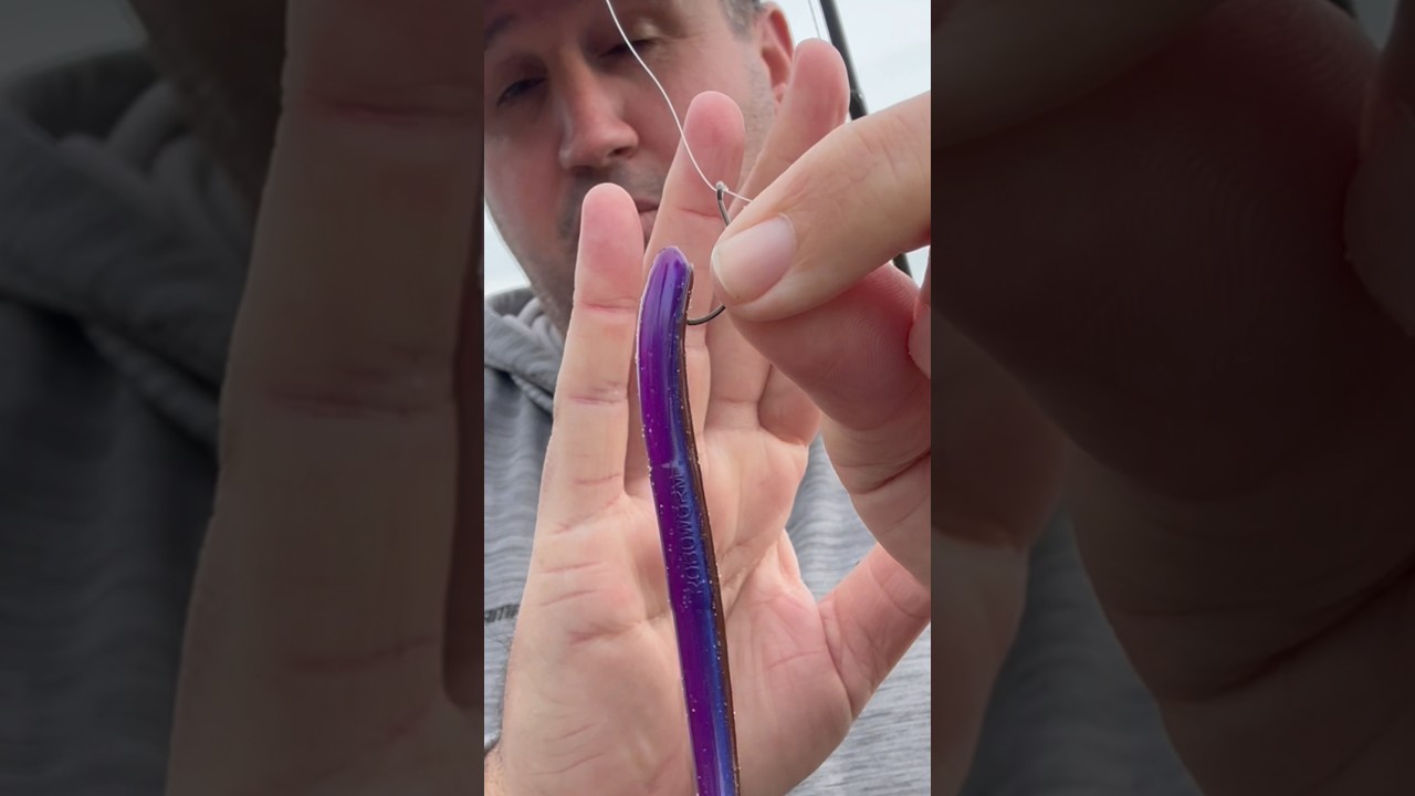 Must know weedless drop shot bass fishing tip! #bassfishing #dropshot #informativefisherman #fish